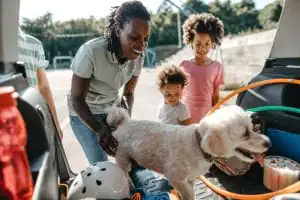 Best Dog-Friendly Road Trips in the Southwest