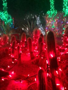 Best Christmas lights in Henderson, NV